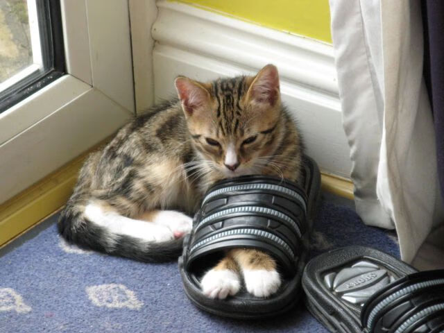 西甲：皇马在国家德比中击败巴萨，争冠悬念再升温，皇马7个月后终登西甲榜首