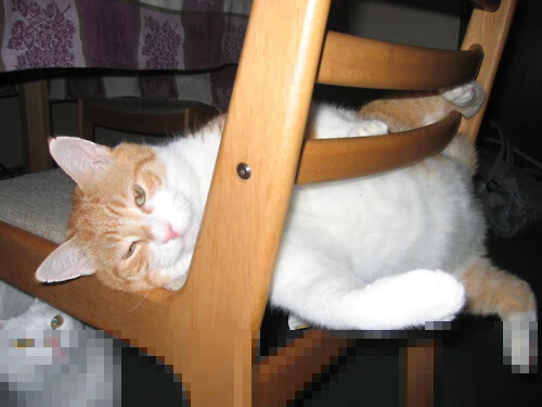 AYX GAMES-76人核心球员伤病恢复迅速，76人战术核心