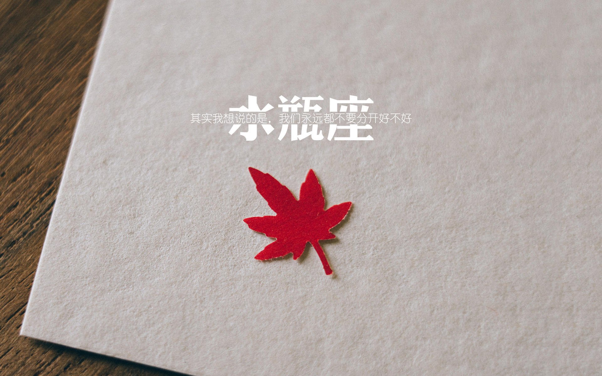 全场田径百米飞人大战成焦点，百米飞人比赛