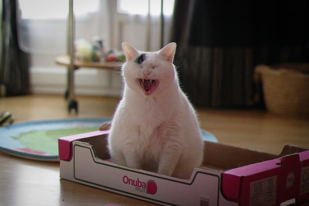 总经理是否该对球队战绩负责，总经理是否该对球队战绩负责呢