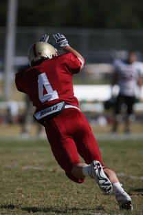 爱游戏数字体验-五大联赛的魅力：不同国家球队的差异化风格，5大联赛球队综合实力排名