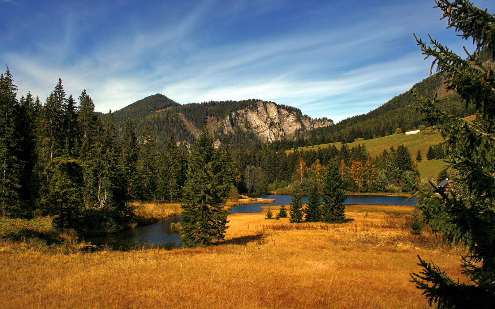 爱游戏下载-国家队得分点集中是否导致战术单一，国家队积分规则