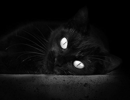 国家队得分点集中是否导致战术单一,国家队积分规则