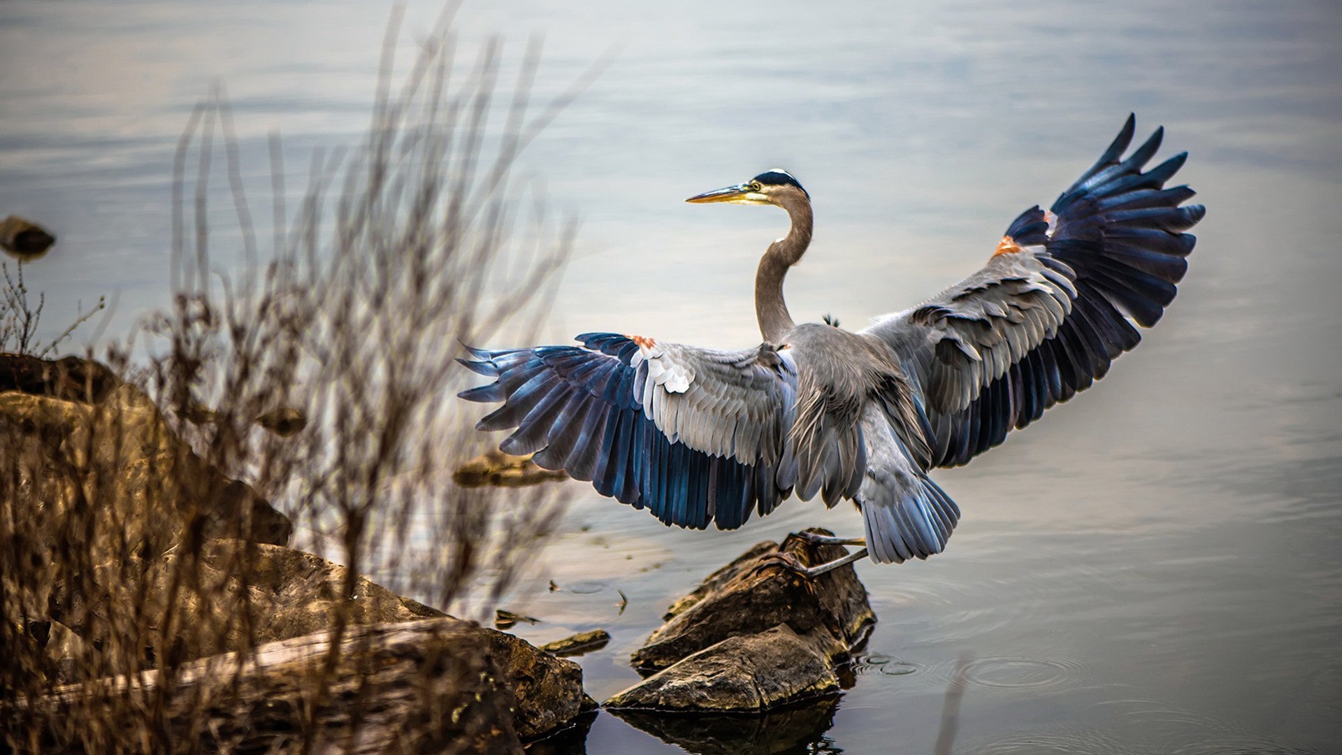 爱游戏在线-国家女篮与海外球队热身检验训练成果，女蓝国家队